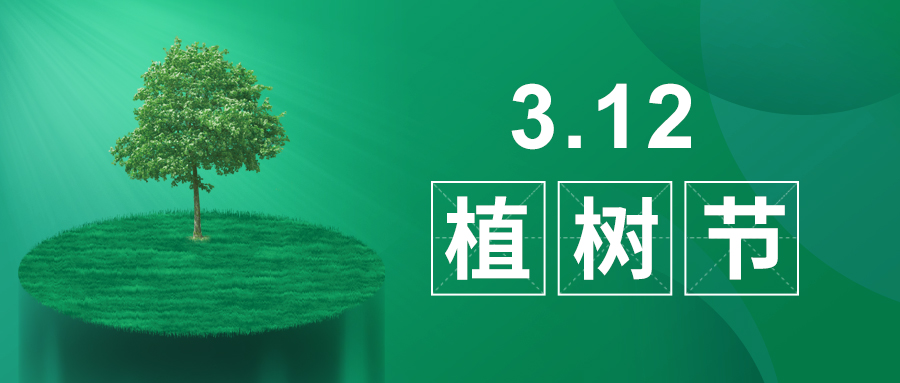 3.12植樹節(jié)|除了植樹，我們還能做什么？